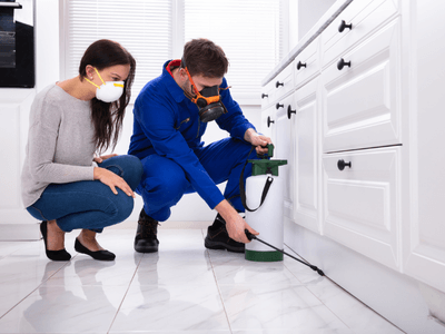 About APC Lake Saint Louis - apartment pest control experts in Lake Saint Louis