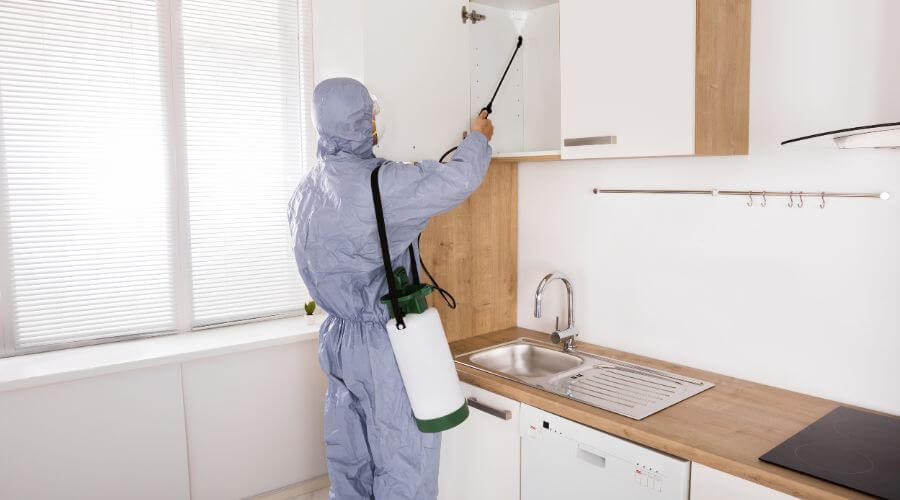 Professional apartment pest control services in Lake Saint Louis - APC Lake Saint Louis